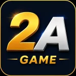 2A
